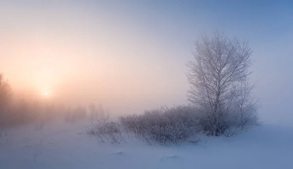 Heavy fog on a frosty winter morning — Stock Photo, Image