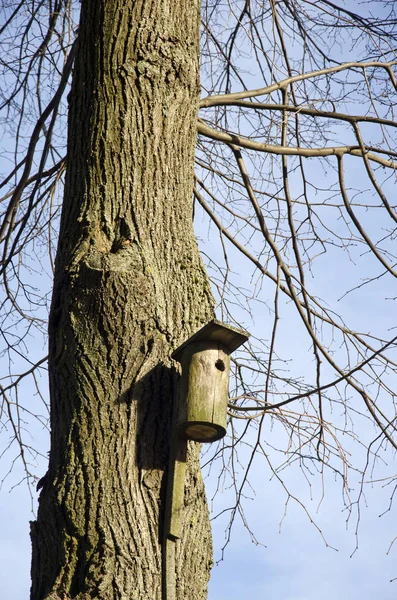 Oude Vogel Nesten Box Lente Boom — Stockfoto