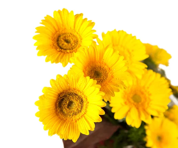 흰색에 노란색과 꽃다발 — 스톡 사진