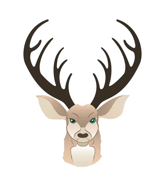 时尚鹿的时尚肖像 驯鹿穿着外套 毛茸茸的艺术性格 拟人化 T恤印花插图 — 图库照片