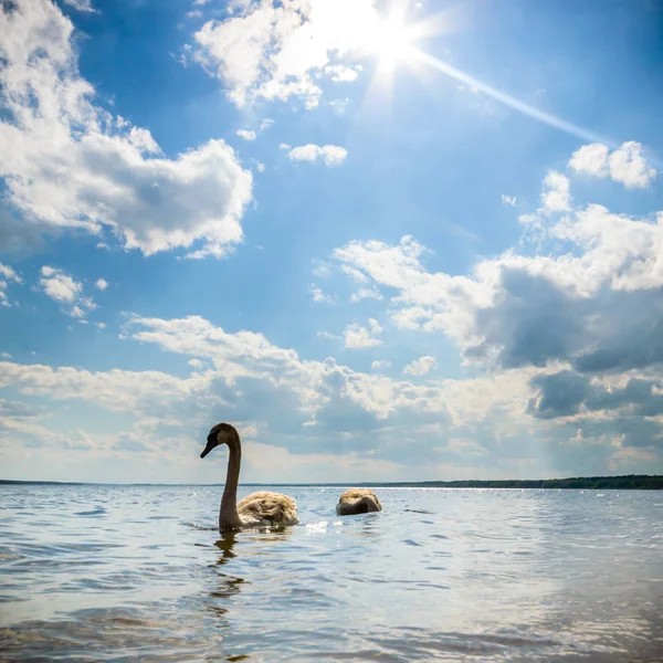 Modrá Obloha Přírodní Mraky Série Nature — Stock fotografie