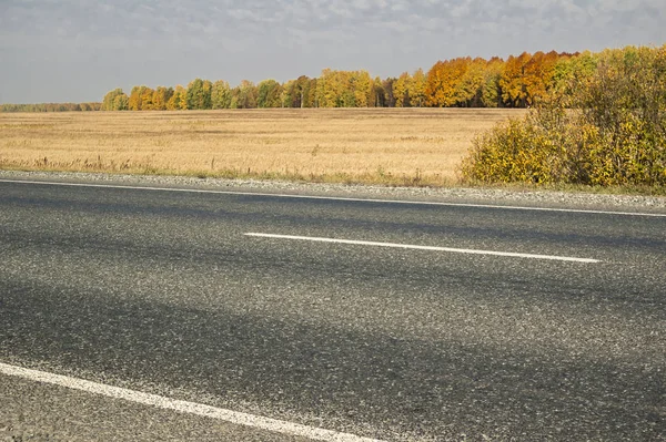 Schizzi Autunno Paesaggi Natura Della Siberia Vicino Alla Città Tobolsk — Foto Stock