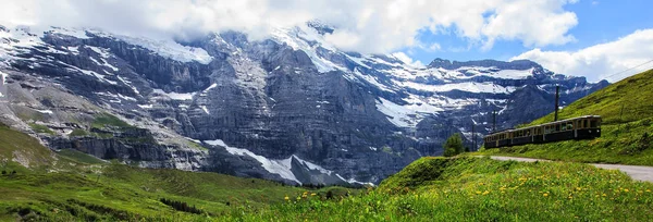 Vue Panoramique Majestueuse Sur Paysage Long Train Suisse Reliant Kleine — Photo