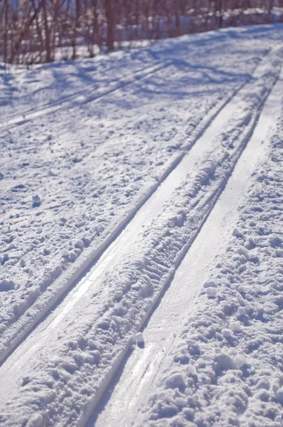 Winterseizoen Foto Van Sporen Sneeuw — Stockfoto