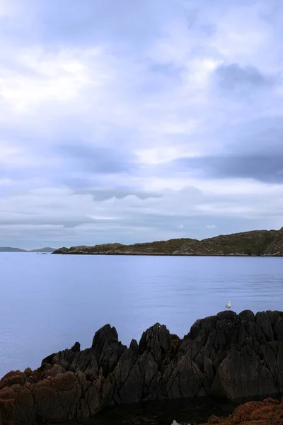 Vista Panorámica Kerry Ireland Pájaro Sobre Rocas Mar Con Montañas —  Fotos de Stock