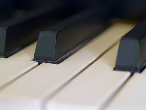 Teclas Piano Muito Bem Amado Muitas Vezes Tocava Piano Mostrando — Fotografia de Stock