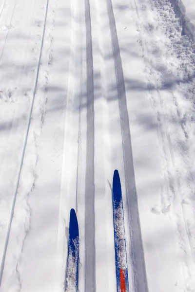 Ski Winter Alpen — Stockfoto