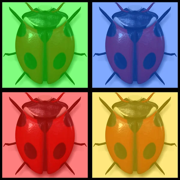 Lady Bird Beetle Color — Stock Photo, Image