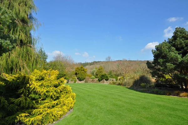 Prato Perfetto All Interno Giardino Campagna Inglese Stabilito Pensionanti Alberi — Foto Stock