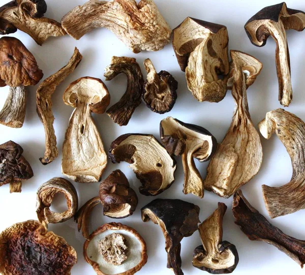 Cogumelos Secos Preparados Uma Mesa Fecham — Fotografia de Stock