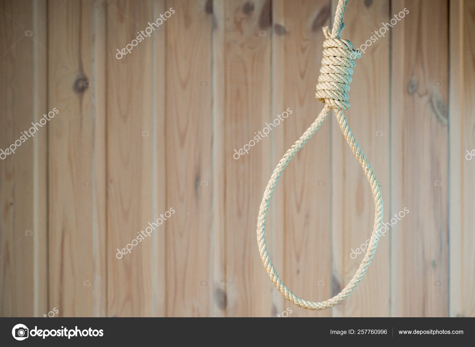 Empty Noose Rope Background Wooden Wall Close Stock Photo