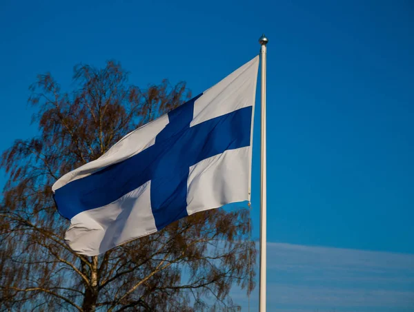 Fińska Flaga Narodowa Poza — Zdjęcie stockowe
