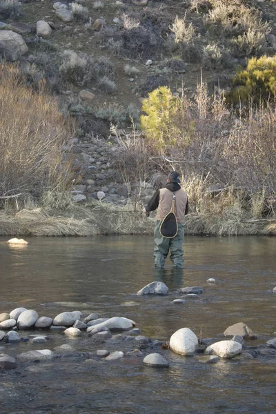 Pesca Con Mosca Río Truckee Verdi Nevada — Foto de Stock