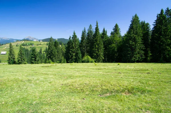 Paisaje Verano Montaña Con Cielo Azul — Foto de Stock