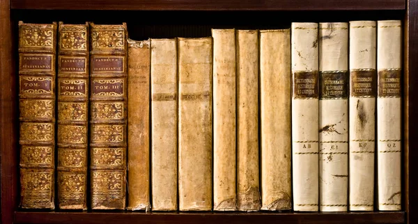 Livros Antigos Xvi Xvii Século Uma Prateleira Madeira — Fotografia de Stock