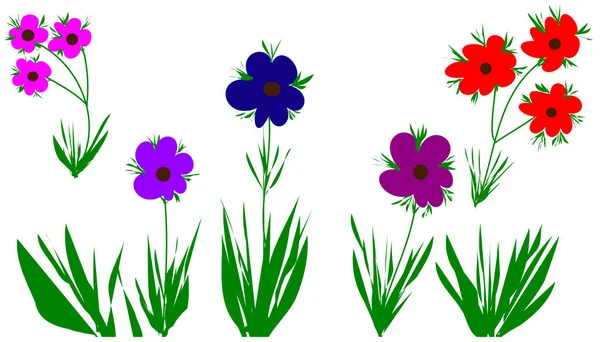 Lot Colored Flowers White Background — Stock Photo, Image