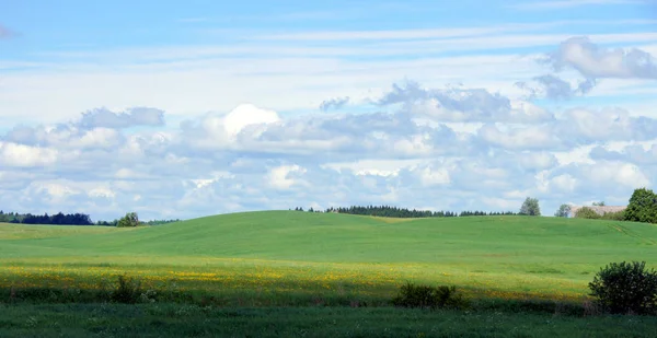 Wiese Und Wolken Vor Dem Hintergrund Des Himmels — Stockfoto