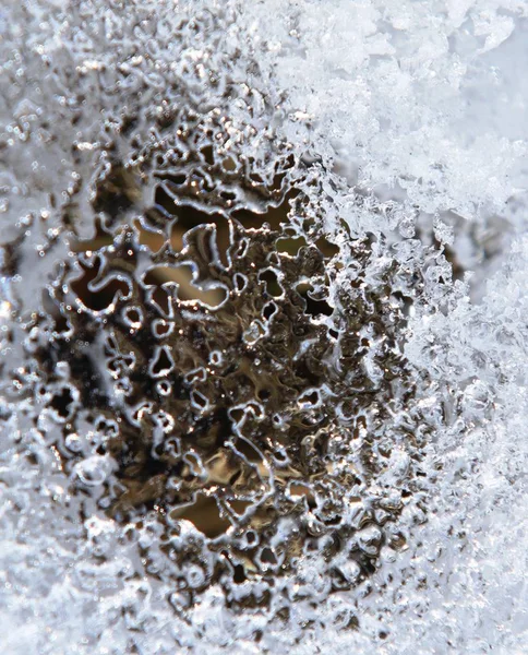 Schöner Winter Auf Natürlichem Hintergrund — Stockfoto