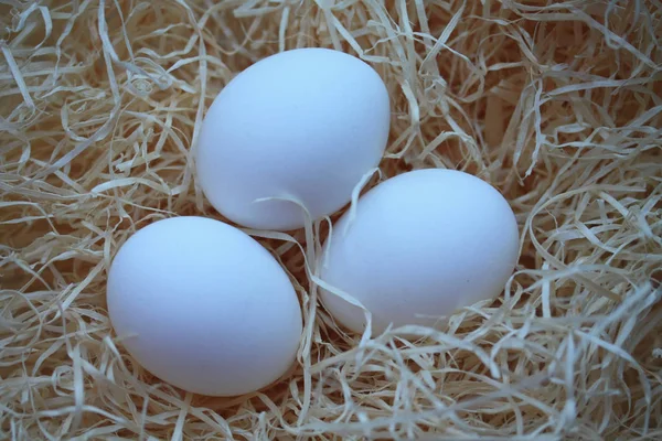 Grupo Ovos Brancos Feno — Fotografia de Stock