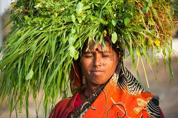 家畜のために緑の草を家に運ぶインドの幸せな村人の女性 — ストック写真