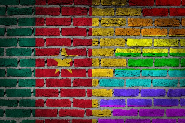 黑砖砌墙的纹理 国家国旗和彩虹旗画在墙上 喀麦隆 — 图库照片