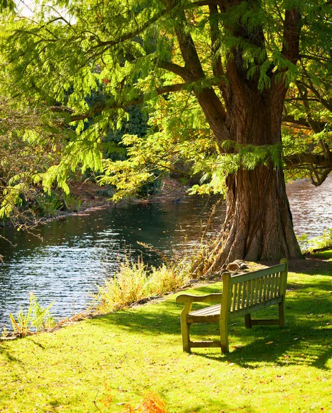 Bancă Sub Copac Grădinile Botanice Regale Din Londra — Fotografie, imagine de stoc