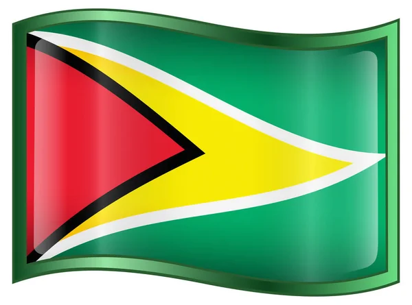 Ícone Bandeira Guiana Isolado Fundo Branco — Fotografia de Stock
