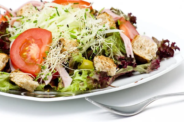 Appetizing Healthy Salad Plate — Stock Photo, Image