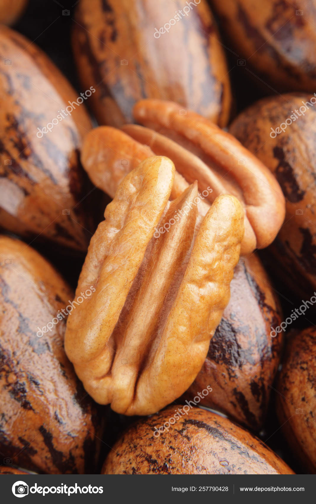 1 113 Pecan Halves Stock Photos Pecan Halves Images Depositphotos