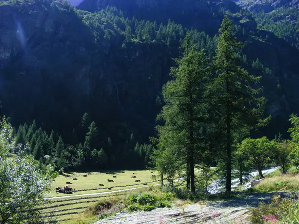 Utsikt Över Bergslandskapet Alperna — Stockfoto