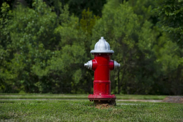 地元の公園での赤い消火栓 — ストック写真