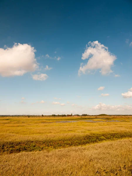 Open Marshland Landscape Scene Blue Skies Clouds Grass Essex England — Stock Photo, Image