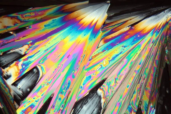 Нітратні Кристали Лантану Під Мікроскопом Збільшенням 100Х Поляризованим Світлом — стокове фото
