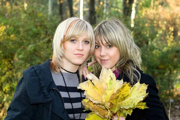 Portret Van Twee Jonge Vrouwen Met Herfst Bladeren — Stockfoto