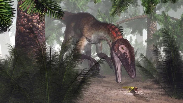 Utahraptor Dinosaurio Cazando Geco Bosque Williamsonia Con Plantas Onychiopsis Render —  Fotos de Stock