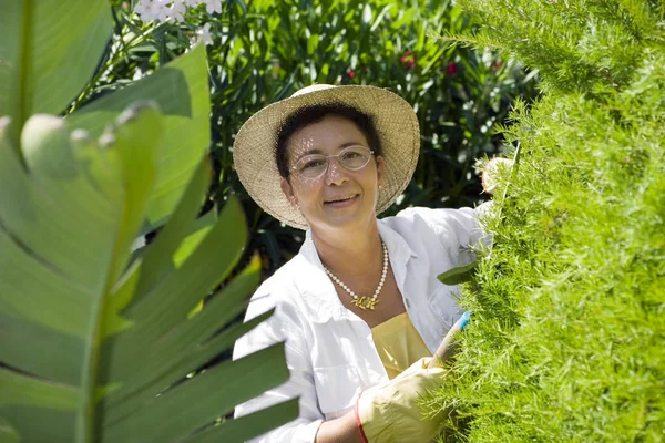 Retrato Jardinería Italiana Senior Mirando Cámara — Foto de Stock