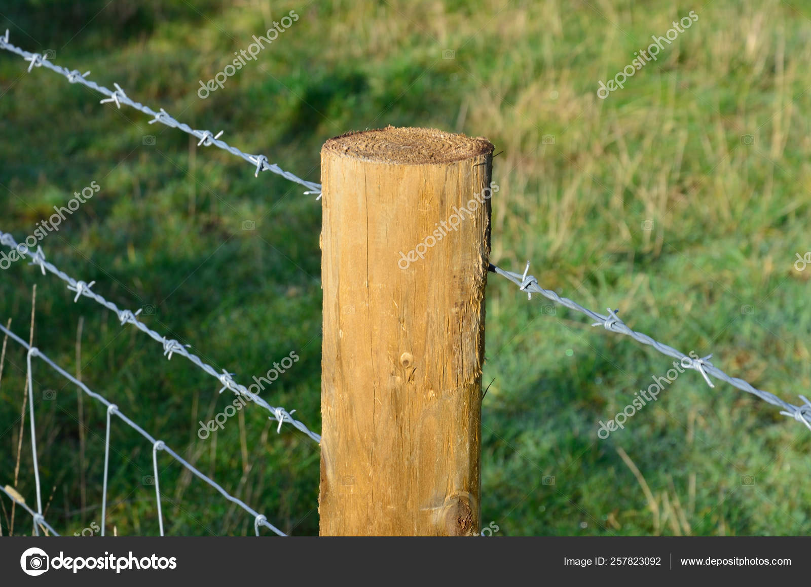 Cerca Alambre Púas Ángulo — Foto de stock #257823092 © YAYImages, image size:1600x1159