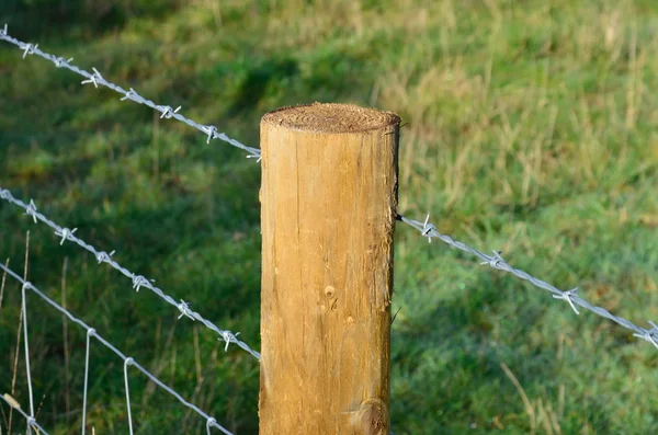 Szögesdrót Kerítés Szögben — Stock Fotó