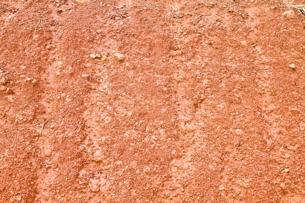 Tekstur Tanah Merah Dan Tanaman Kering — Stok Foto