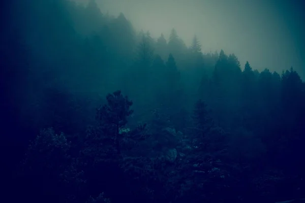Dark Foggy Forest Hills Foggy Colorado Paysage Dégradé Couleur Bleu — Photo