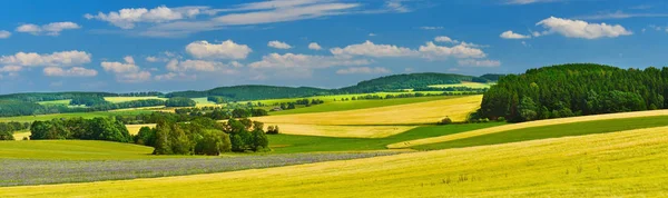 Sommerfelder Deutschland Tagsüber — Stockfoto