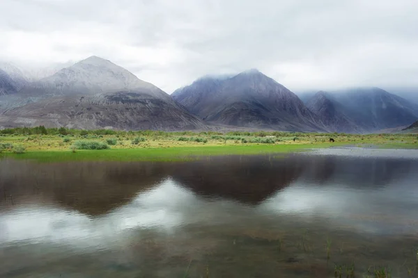 Nubra Vadisinde Doğal Manzara Leh Ladakh Jammu Kashmir Hindistan — Stok fotoğraf