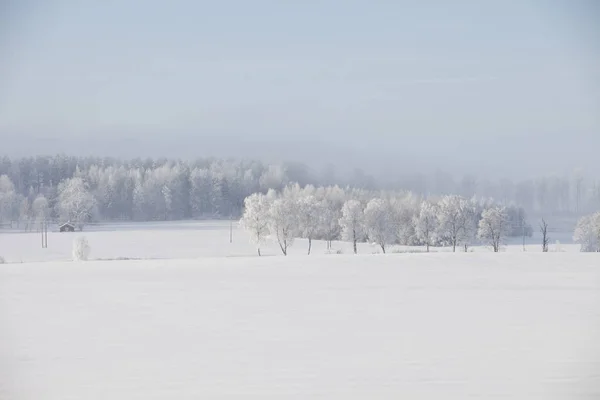 Όμορφη Θέα Χειμερινό Τοπίο — Φωτογραφία Αρχείου