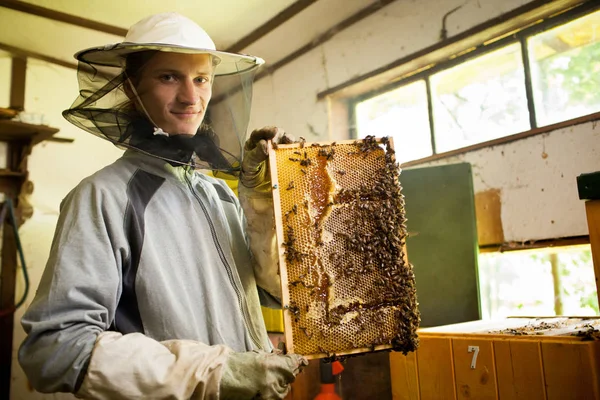 Beekeeper Apiary Holding Frame Honeycomb Covered Swarming Bees — Stock Photo, Image