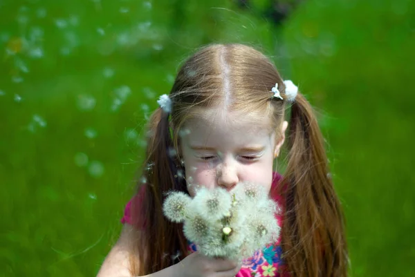 Petite Fille Sur Une Prairie Verte Soufflant Bouquet Pissenlits — Photo