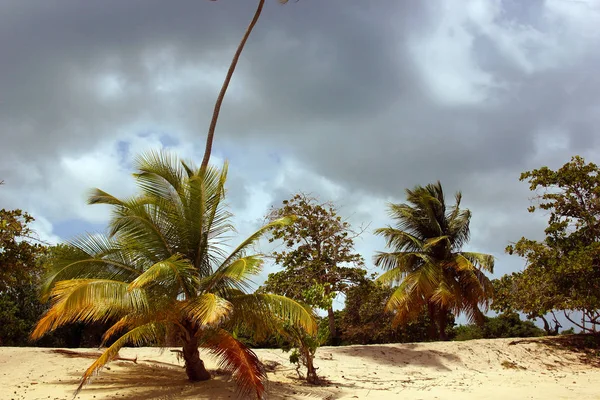 Een Tropisch Strand Aan Rand Van Een Kleine Regen Storm — Stockfoto