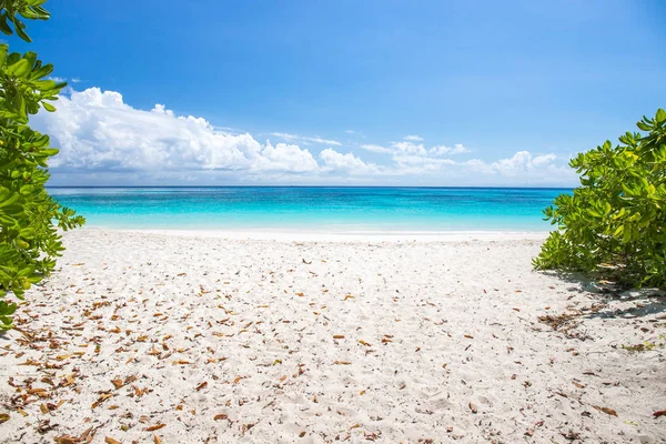 Wunderschönes Kristallklares Meer Und Weißer Sandstrand Mit Boot Auf Der — Stockfoto