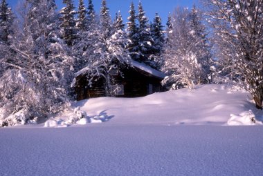 A small cabin with beautiful snowy trees in sunshine clipart