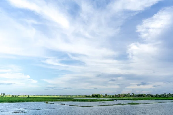 Πράσινο Πεδίο Και Μπλε Ουρανός Φως Σύννεφα Gopalgonj Bangladesh — Φωτογραφία Αρχείου