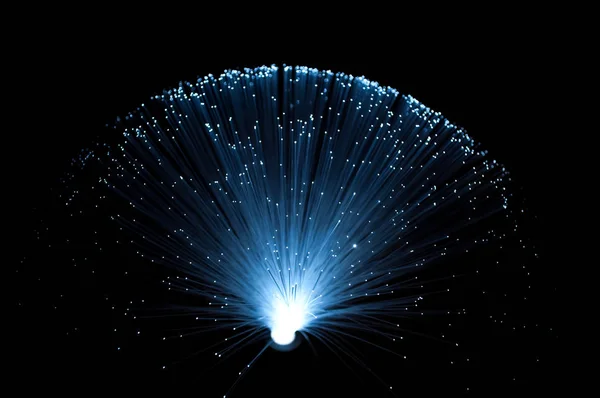 Close Capturing Many Illuminated Blue Fibre Optic Light Strands Black — Stock Photo, Image